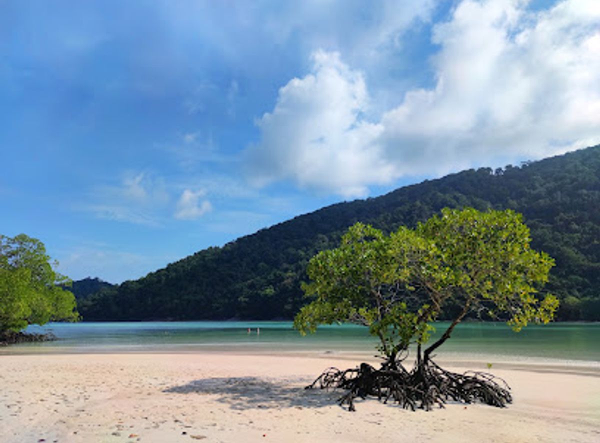 Background