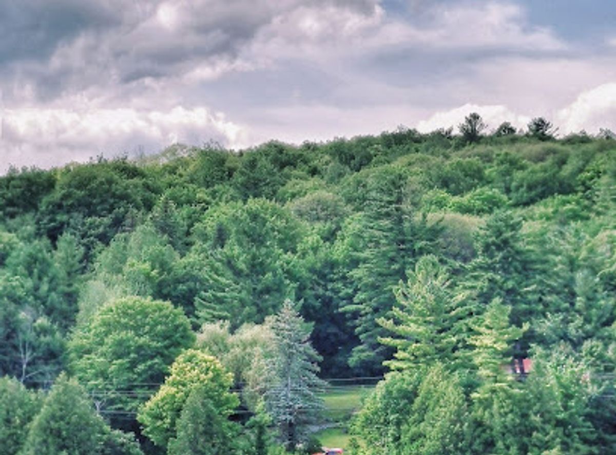 Background