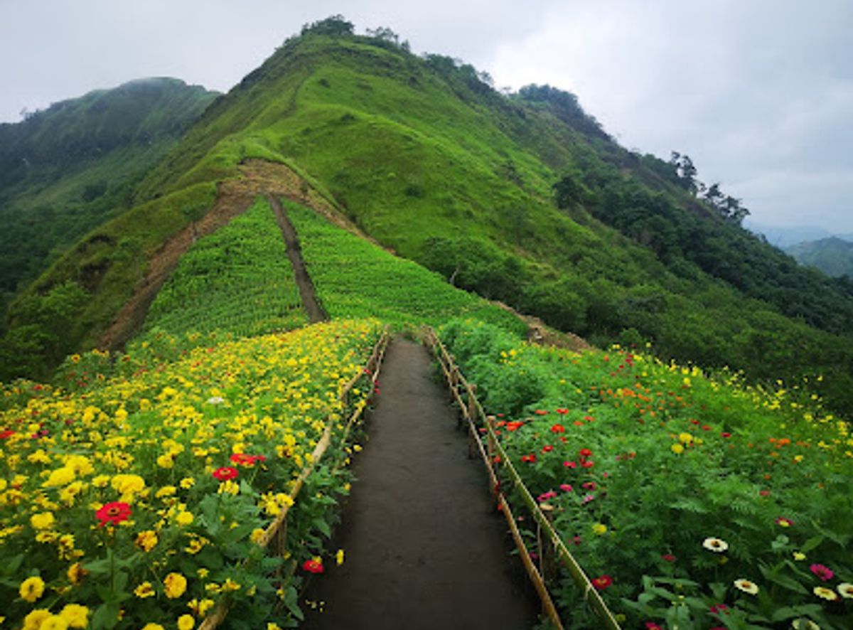 Background