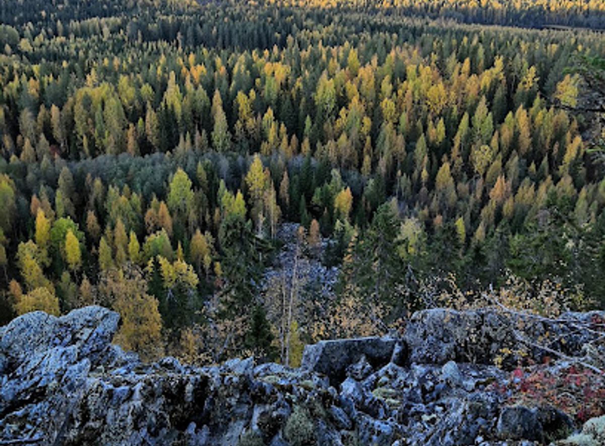 Background