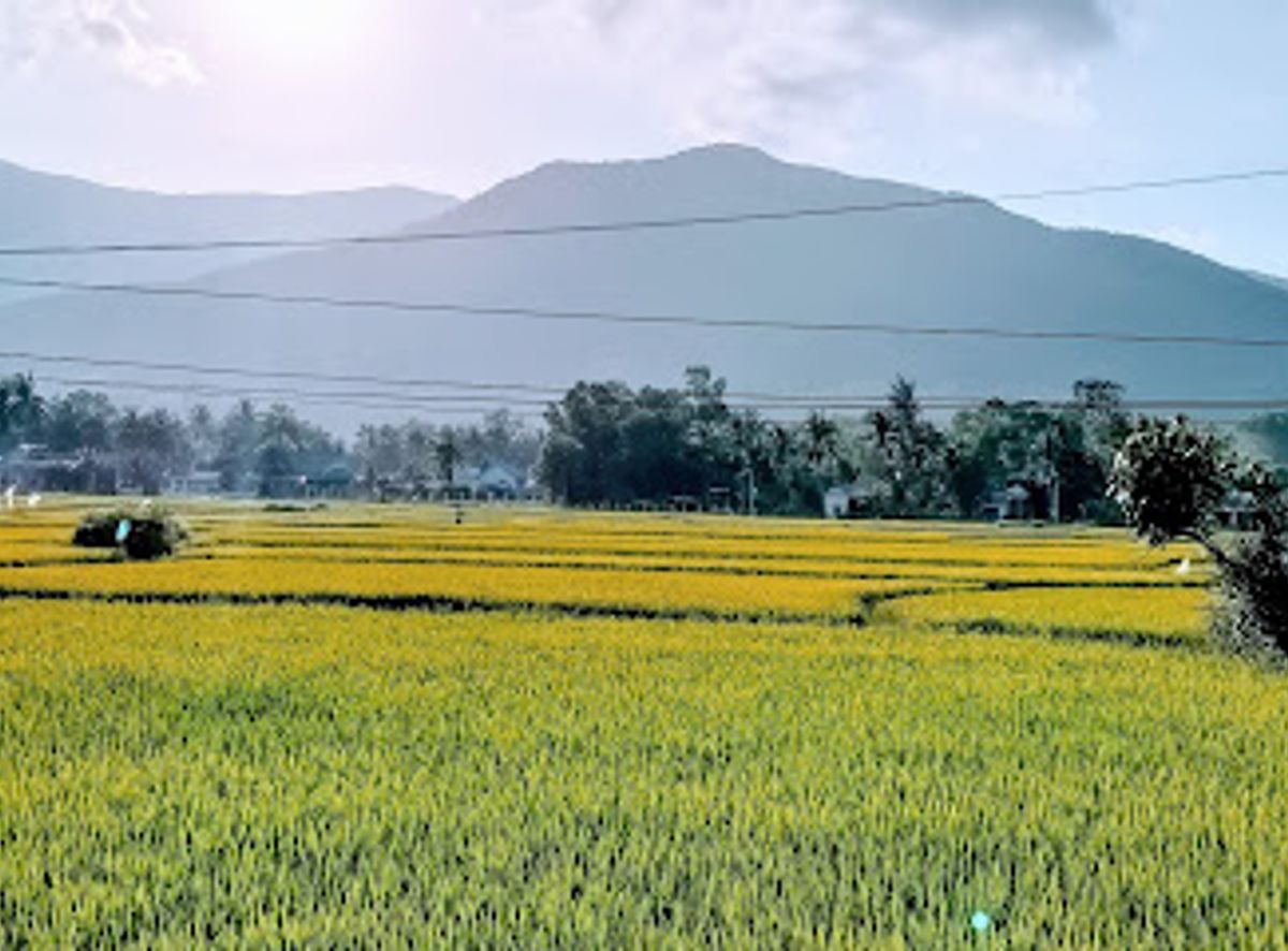 Background