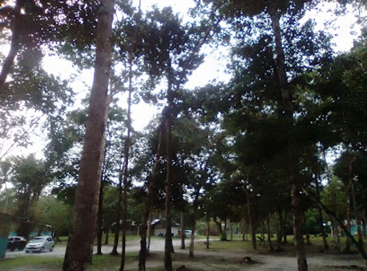 Background