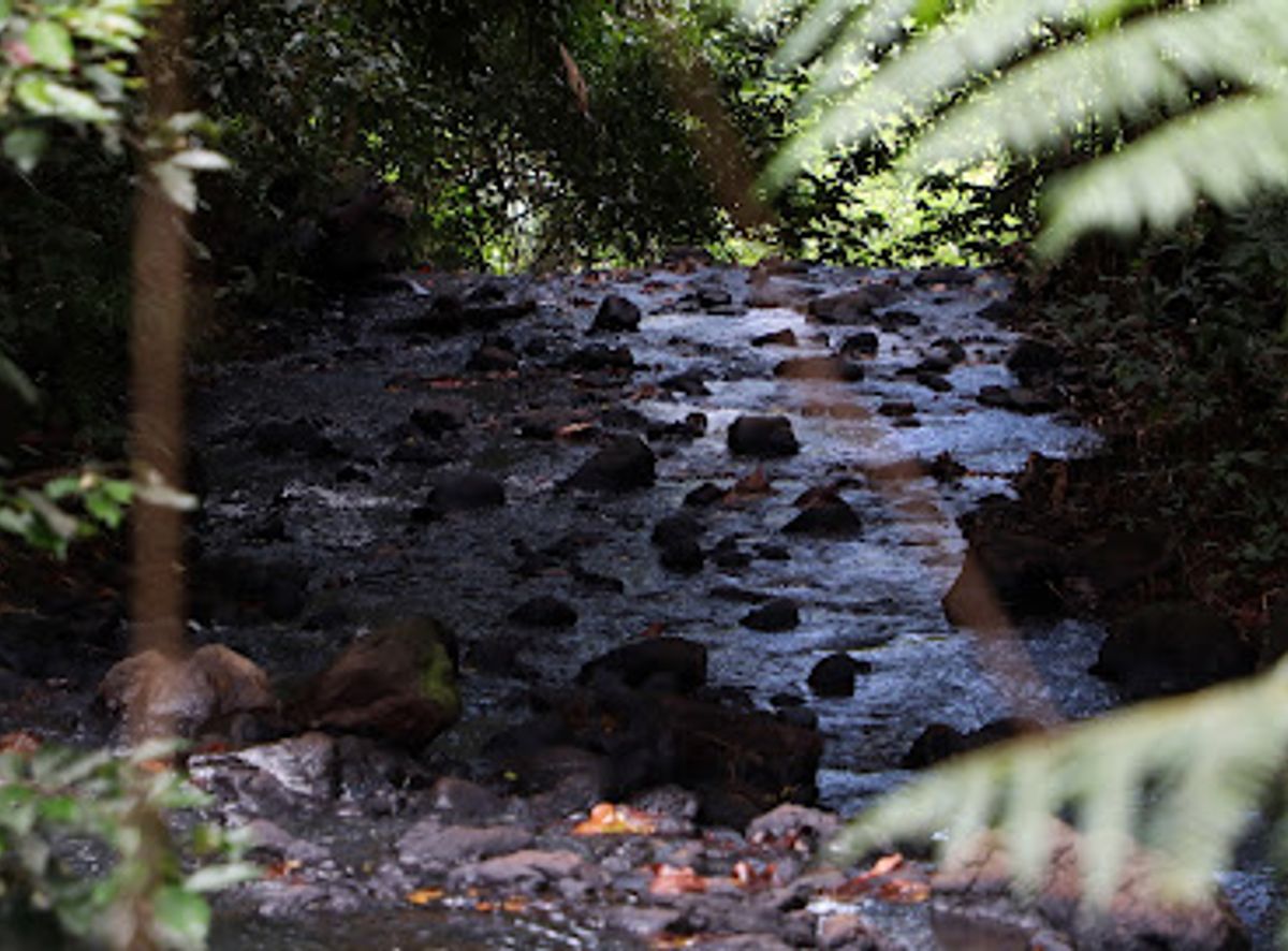 Background
