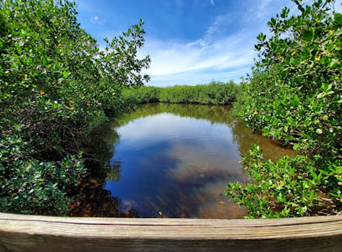 Background
