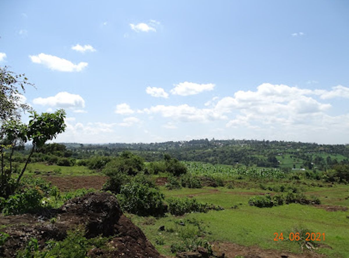 Background