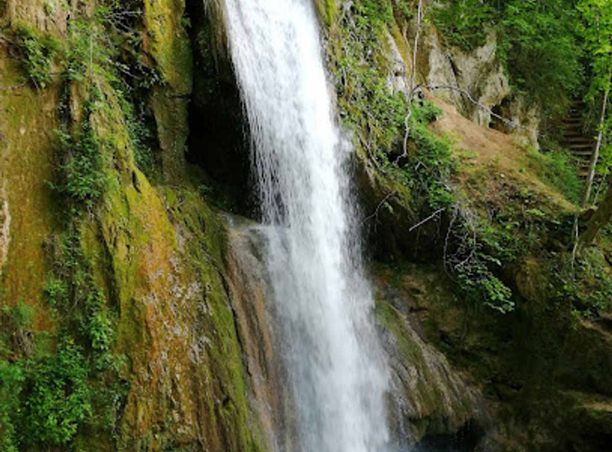 Background