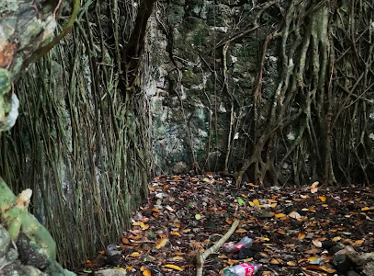 Background