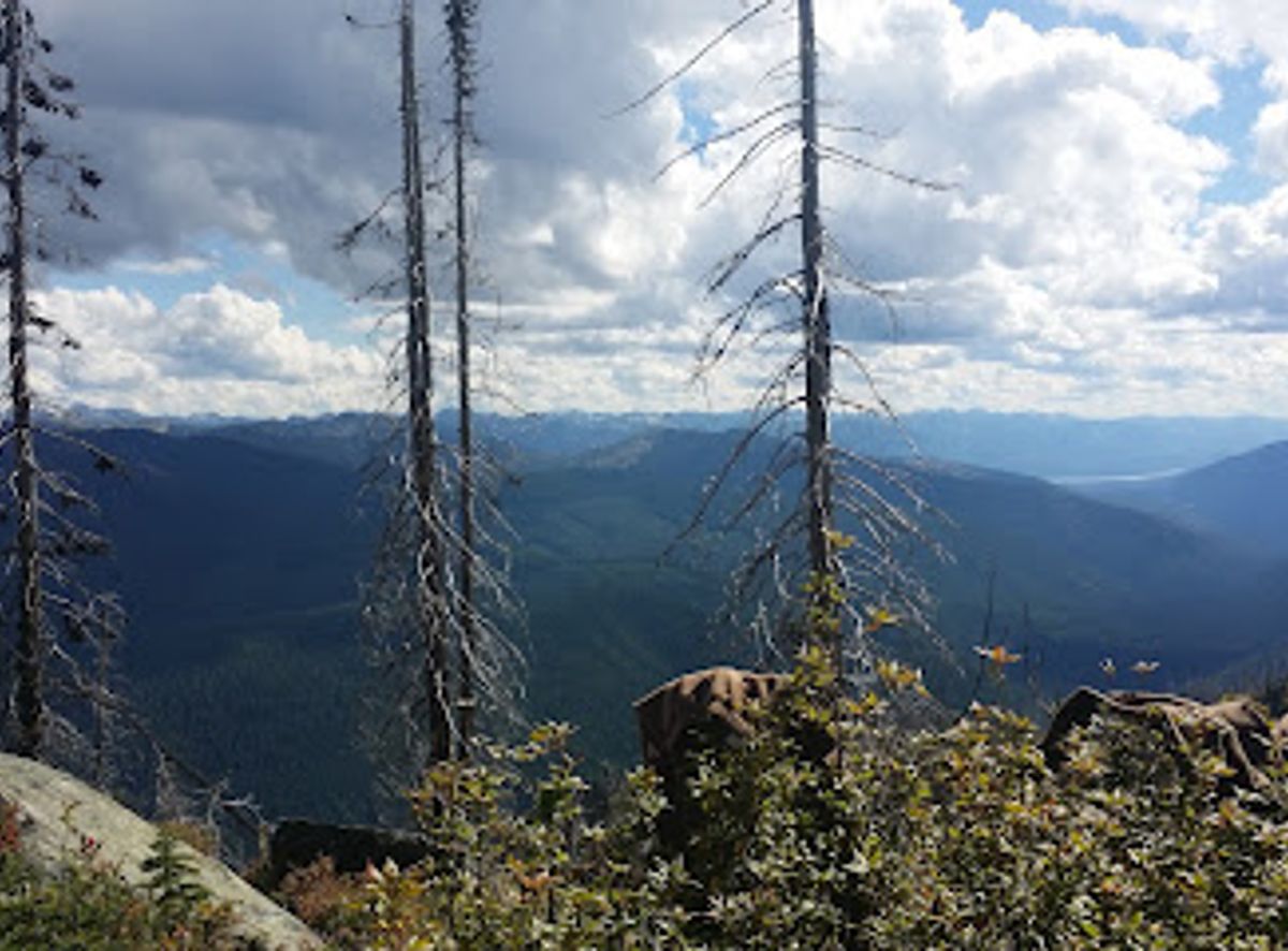 Background