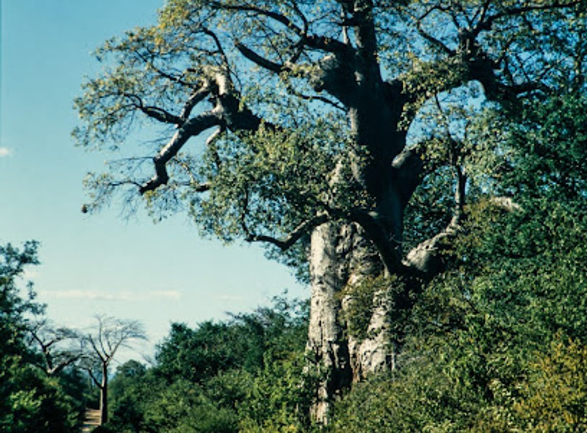Background