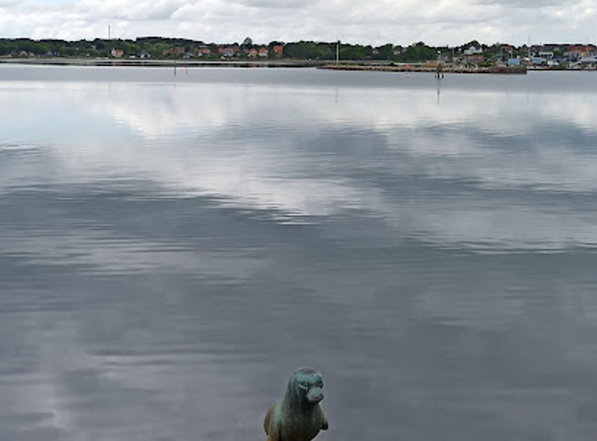Background