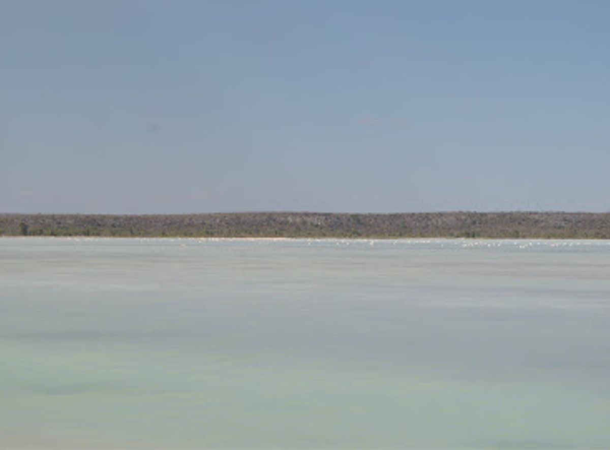 Background