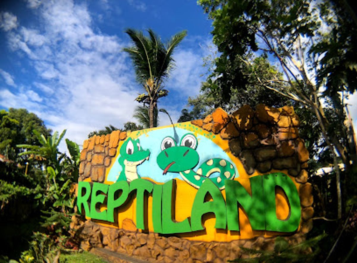Background