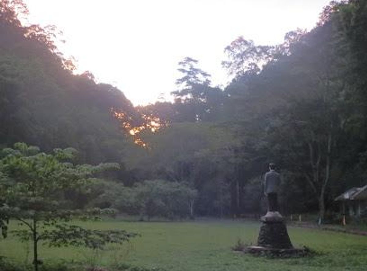 Background