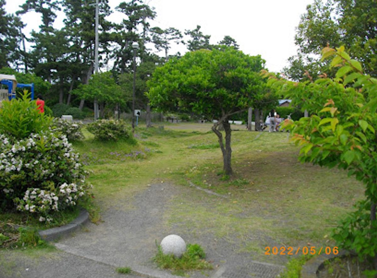 Background