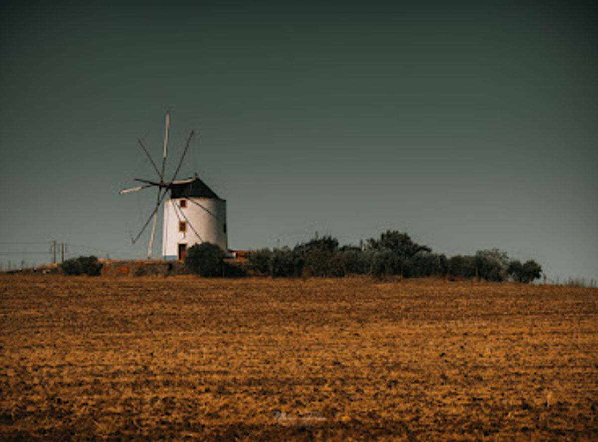 Background
