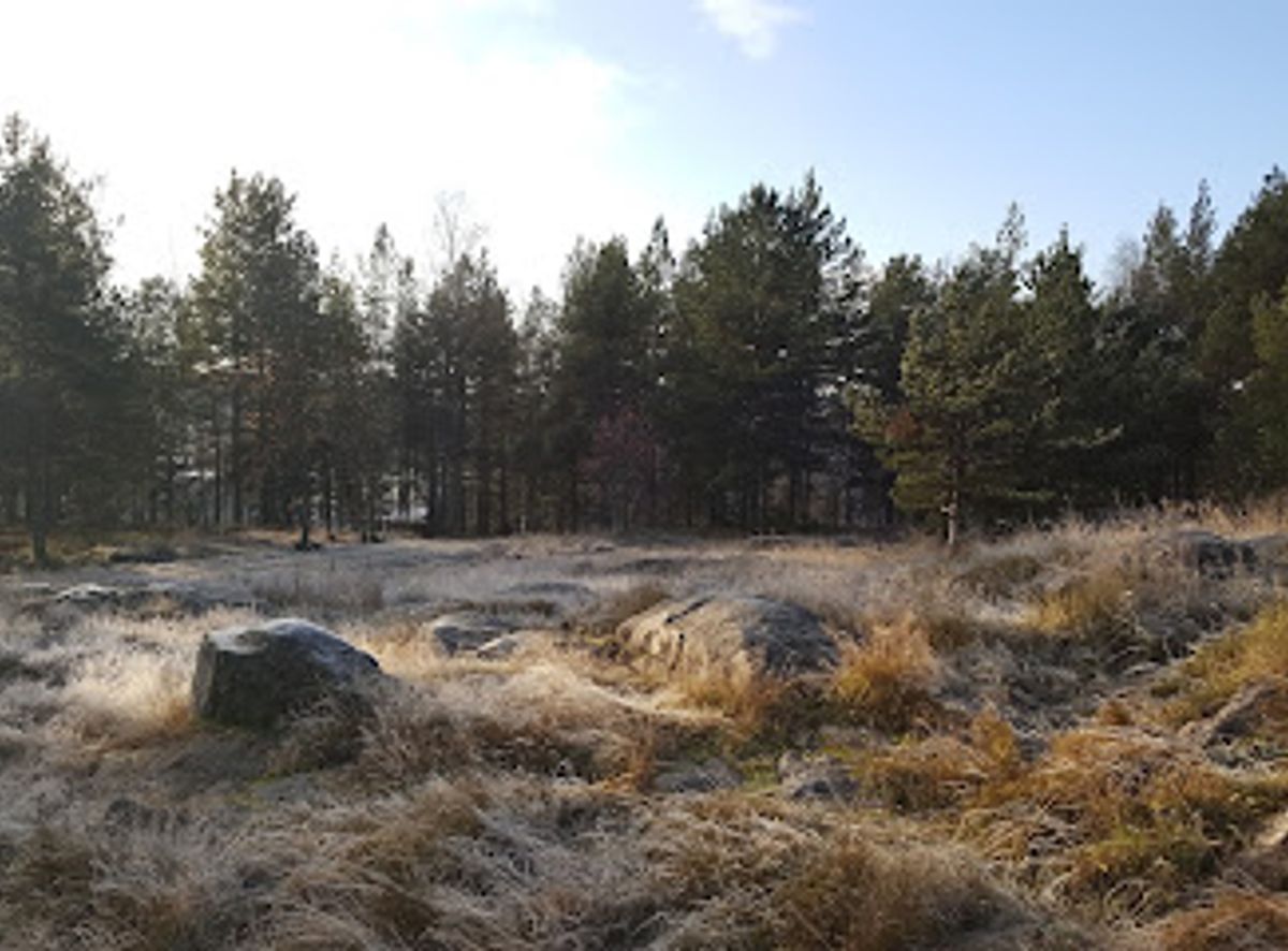 Background