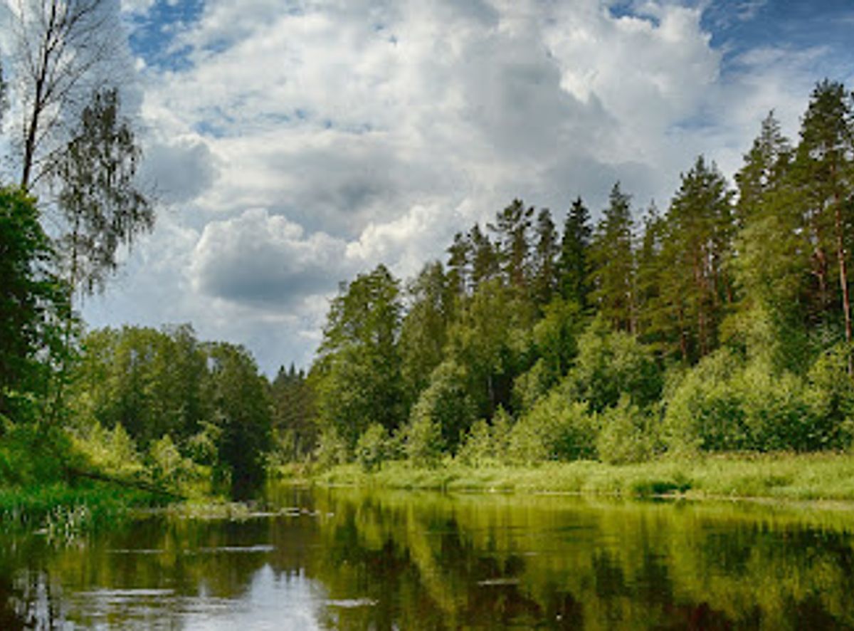 Background