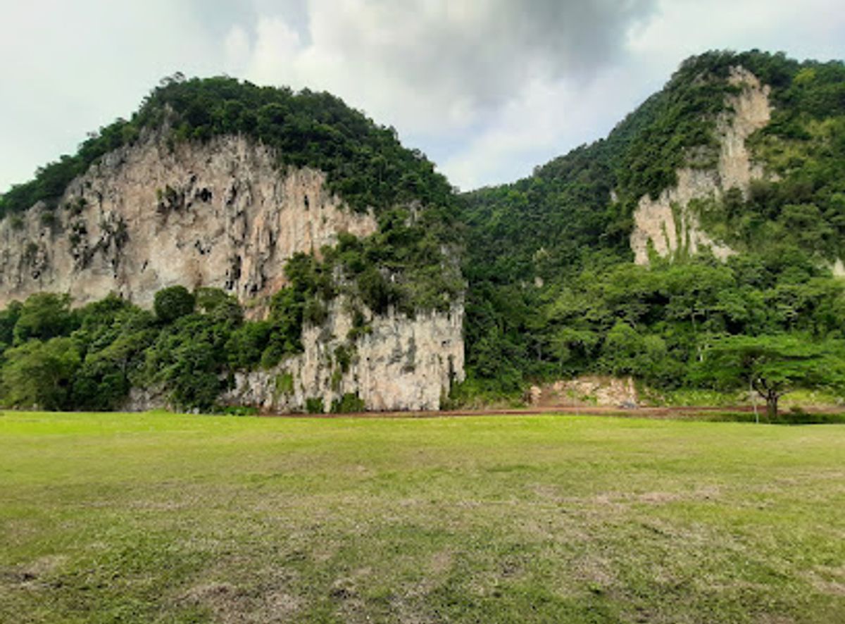 Background