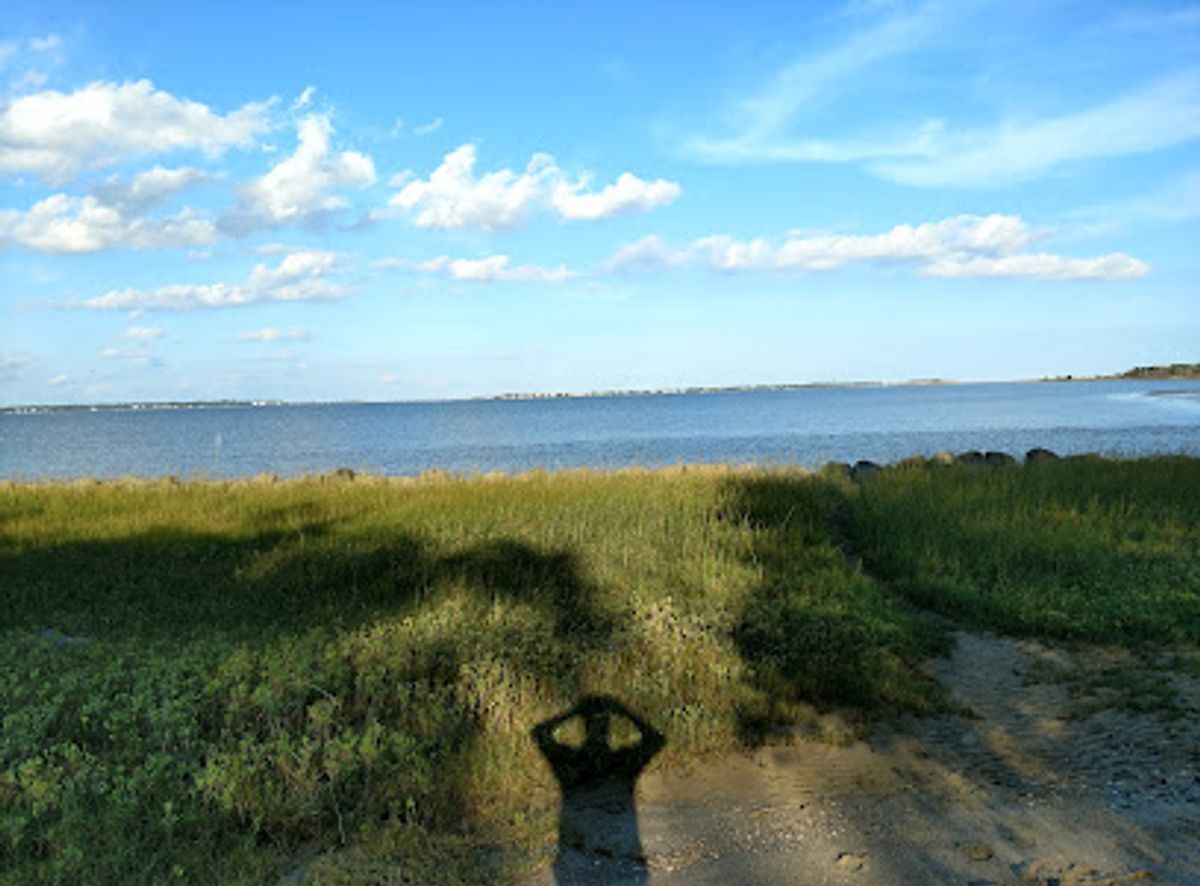 Background