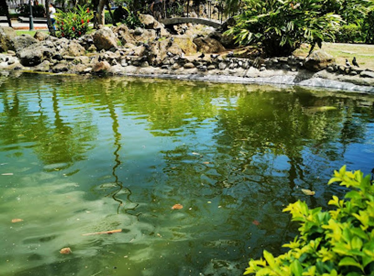 Parque Okayama: A Japanese Oasis in San José