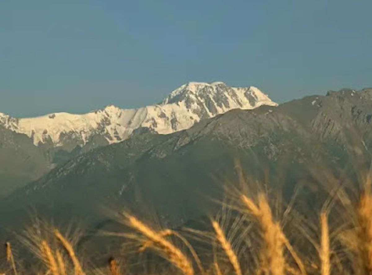 Background