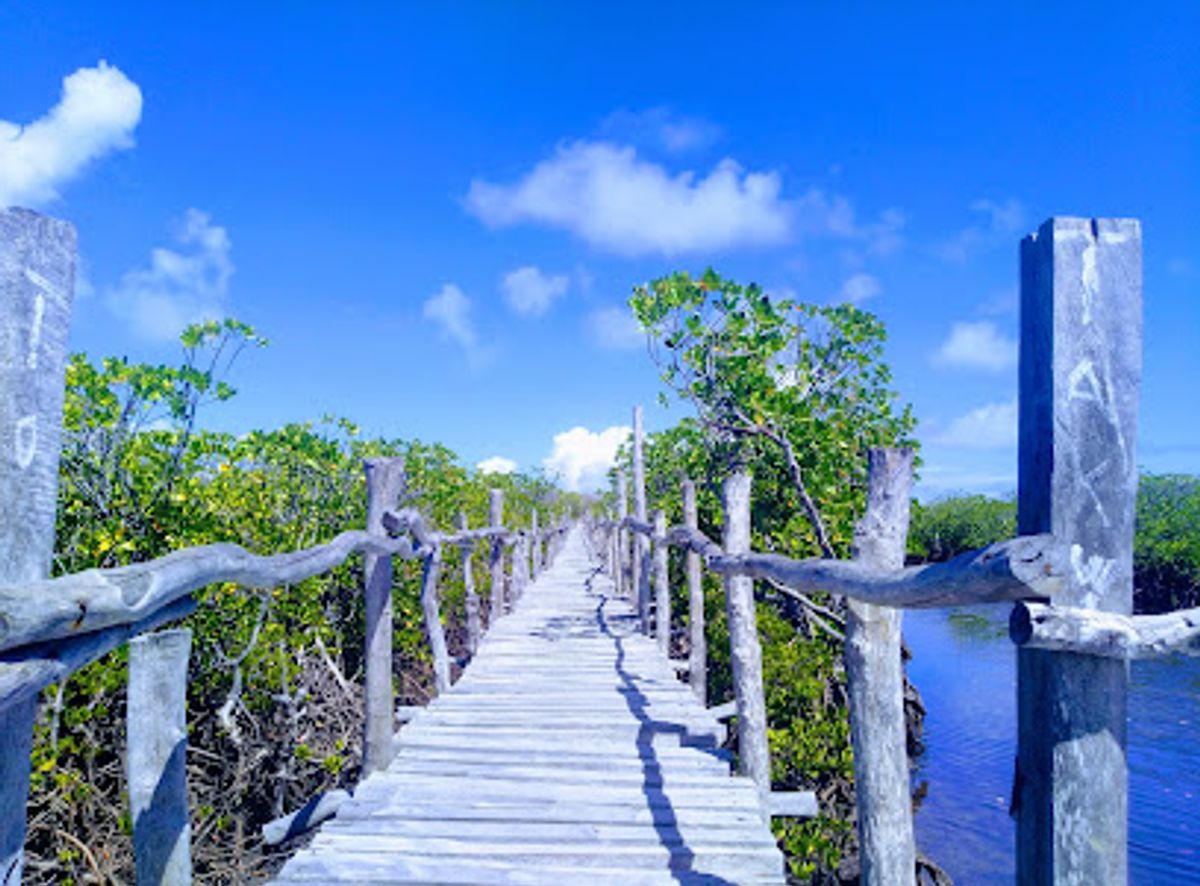 Background