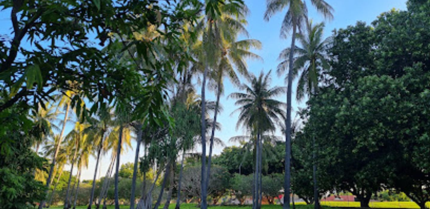 Background