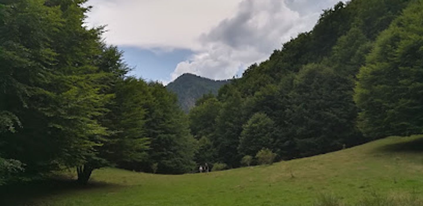 Background