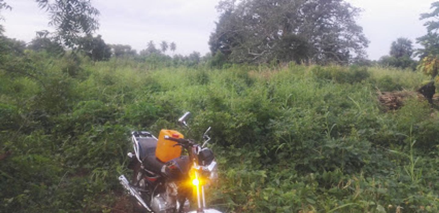 Background