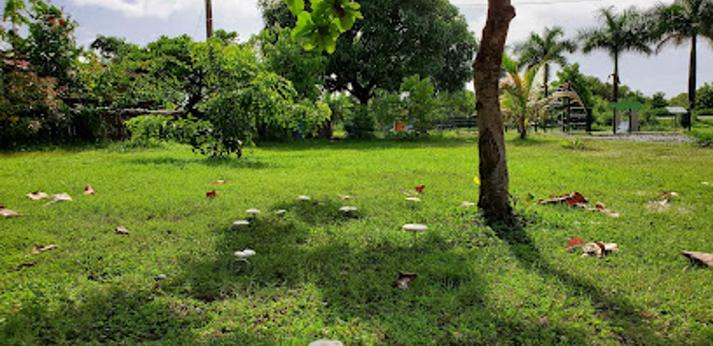 Background