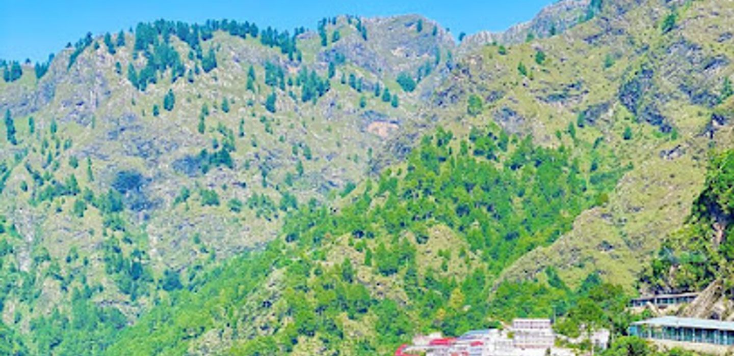 Patnitop