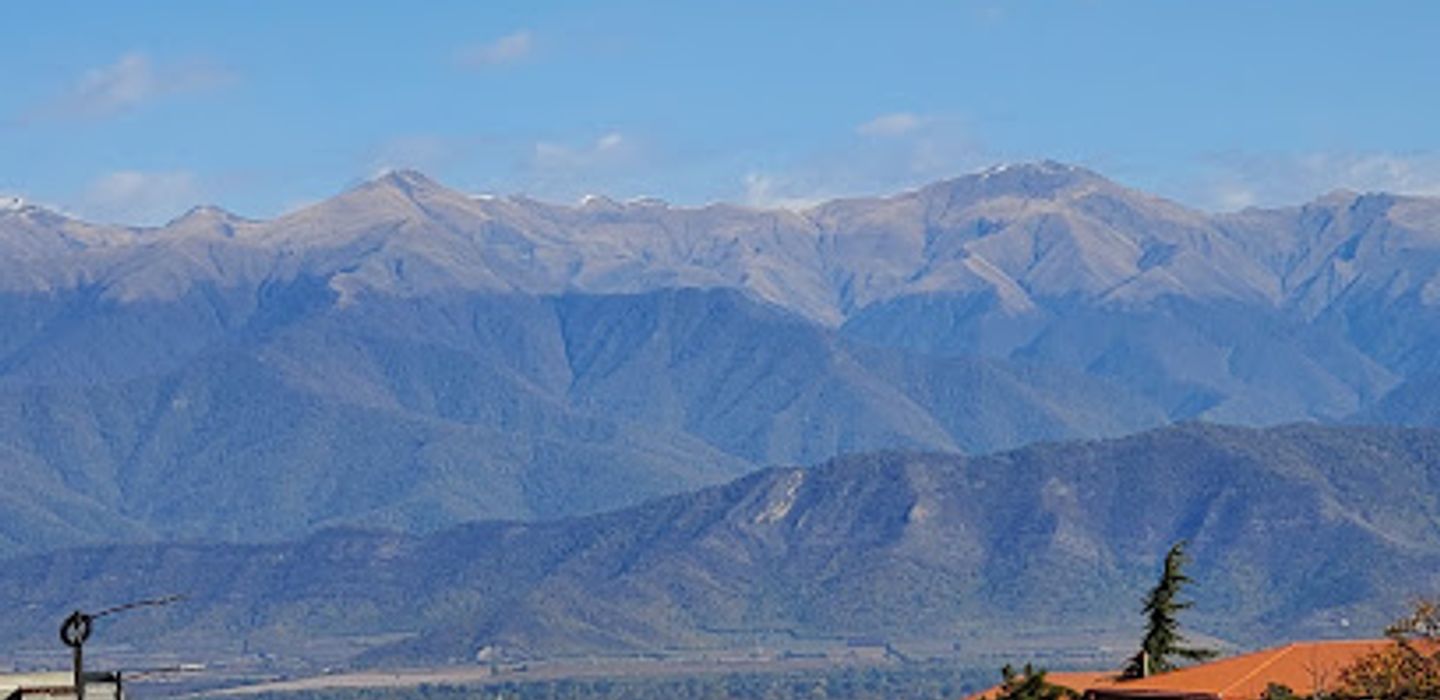 Telavi Bazaar