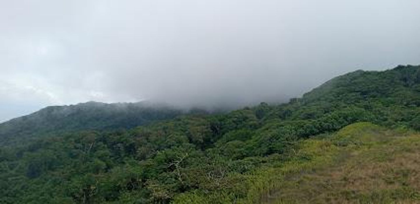 Mombacho
