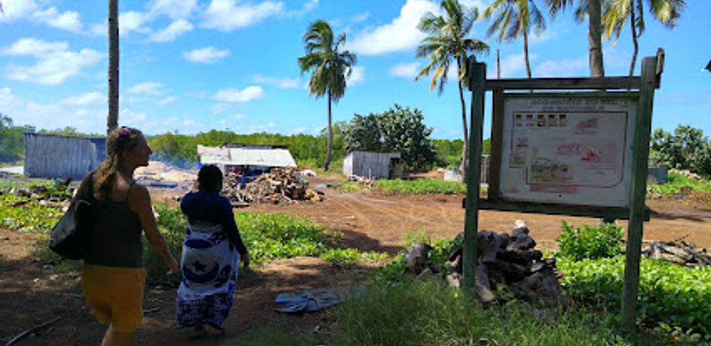 Background