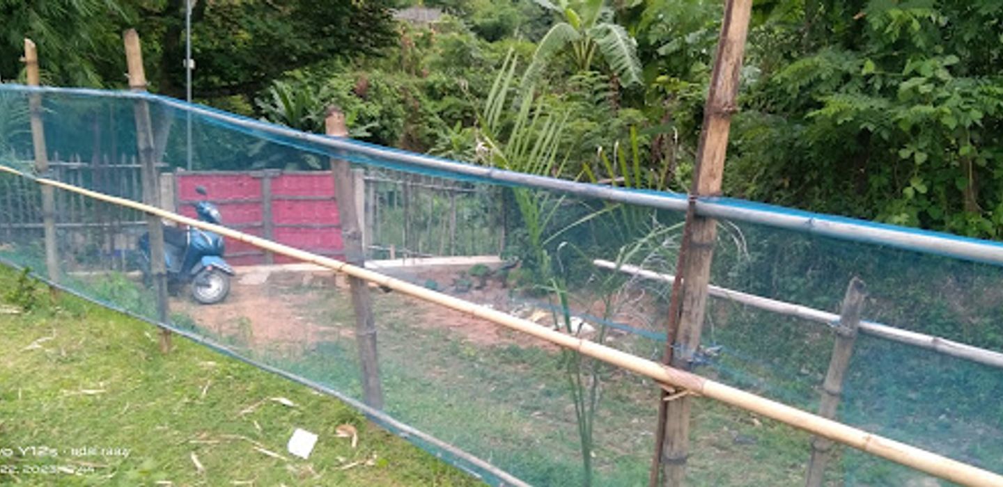 Background