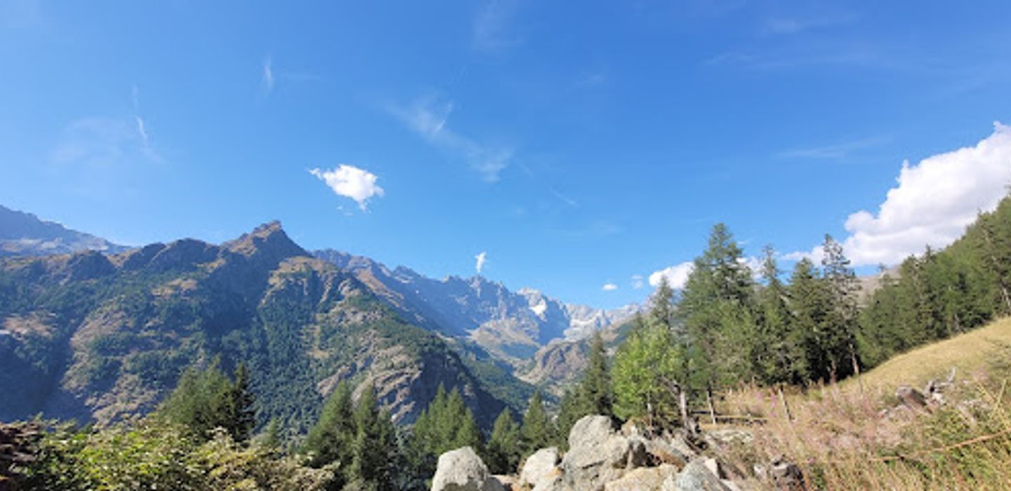 Background