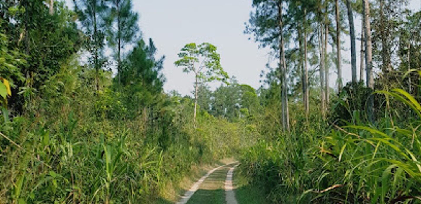 Background