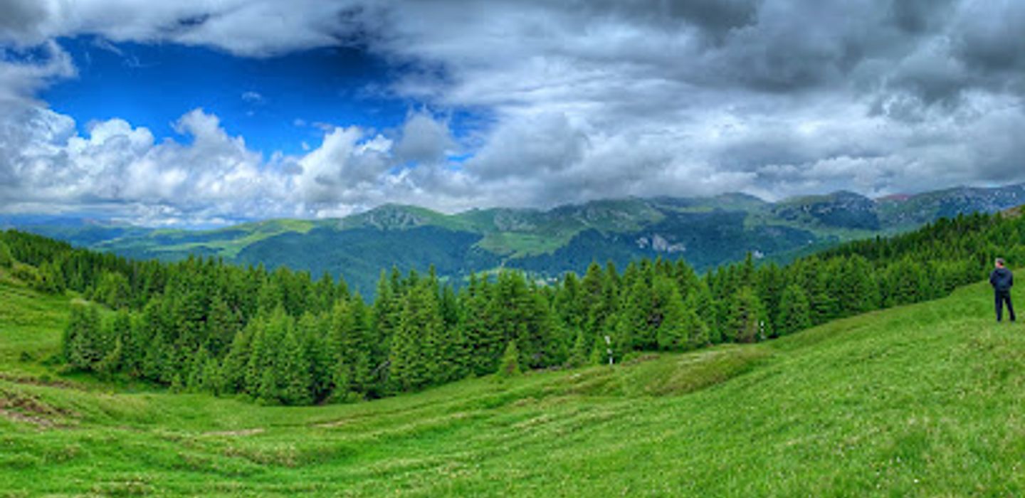 Background