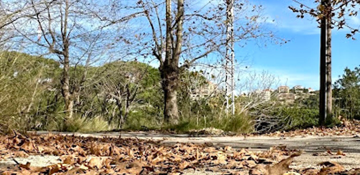 Background