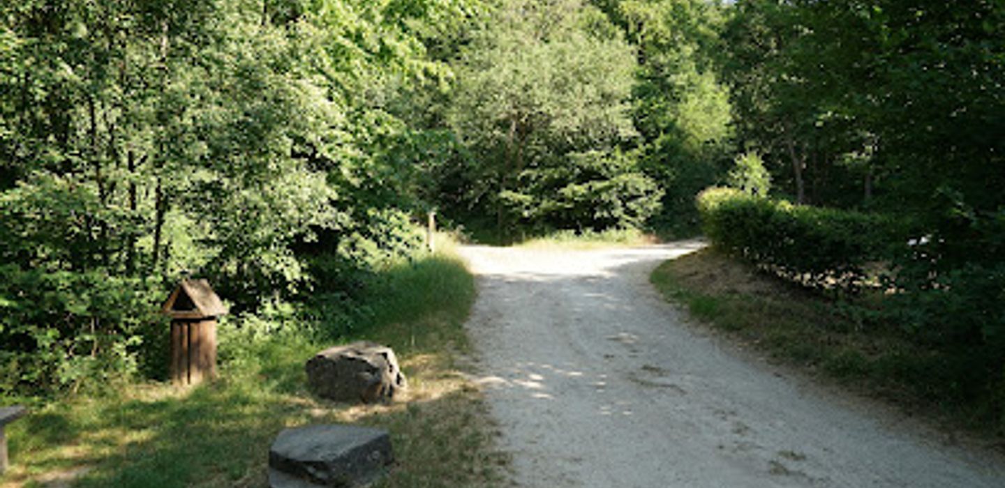 Teich