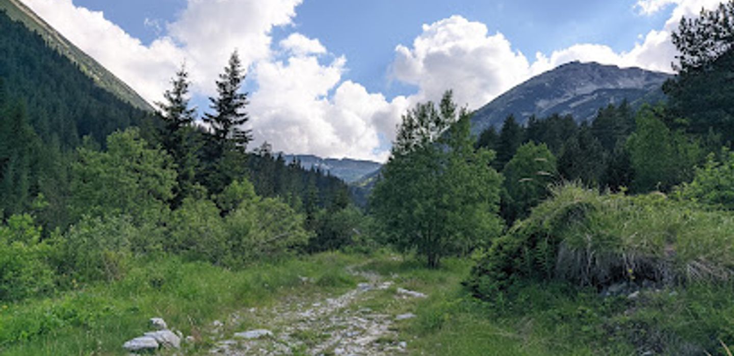 Background