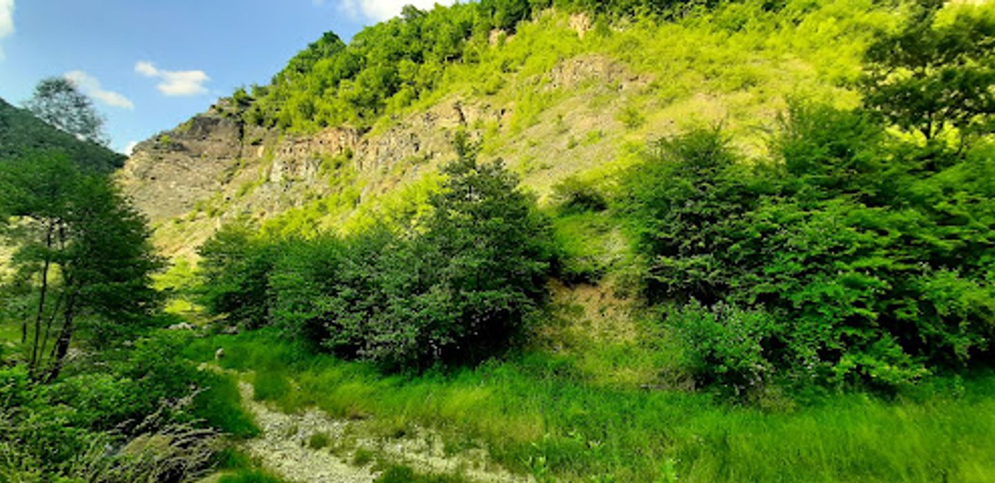 Background