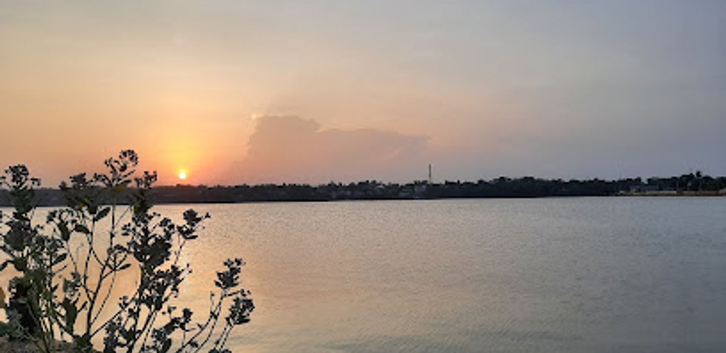 View Point