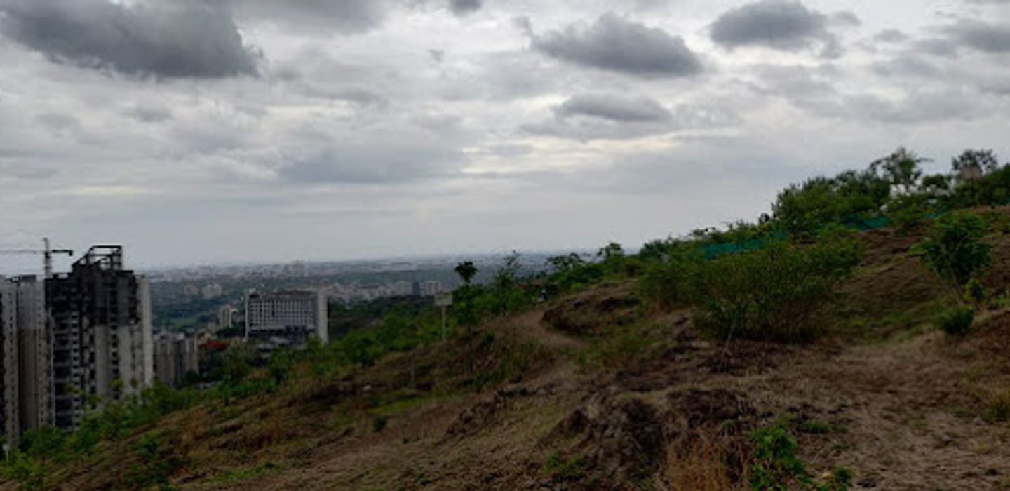 Background