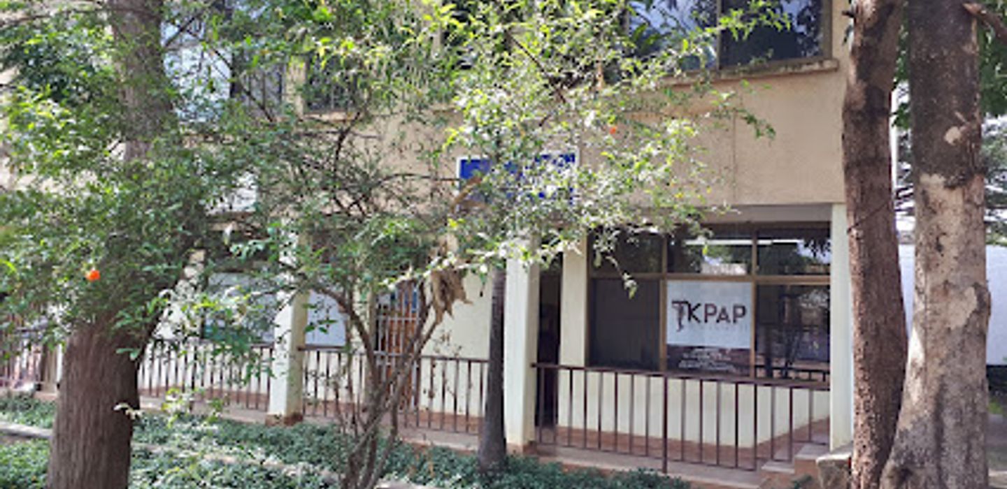 Kilimanjaro Porters Assistance Project - KPAP