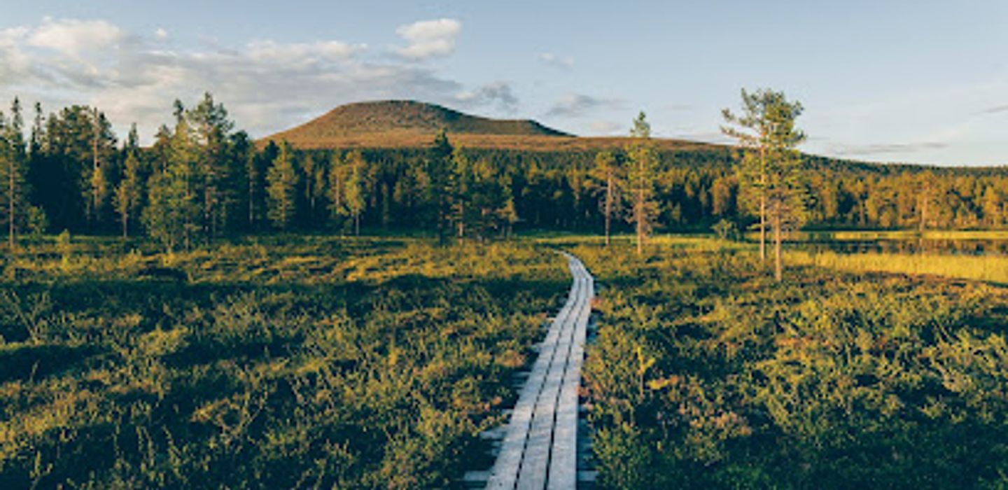 Idrefjäll