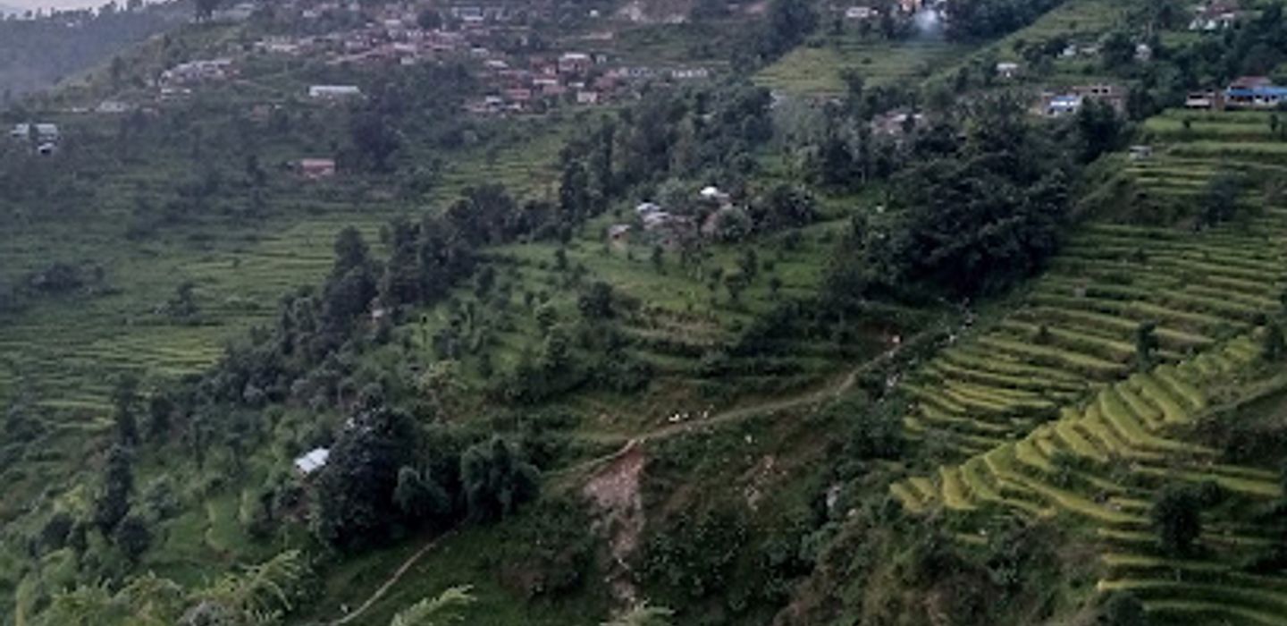 Background