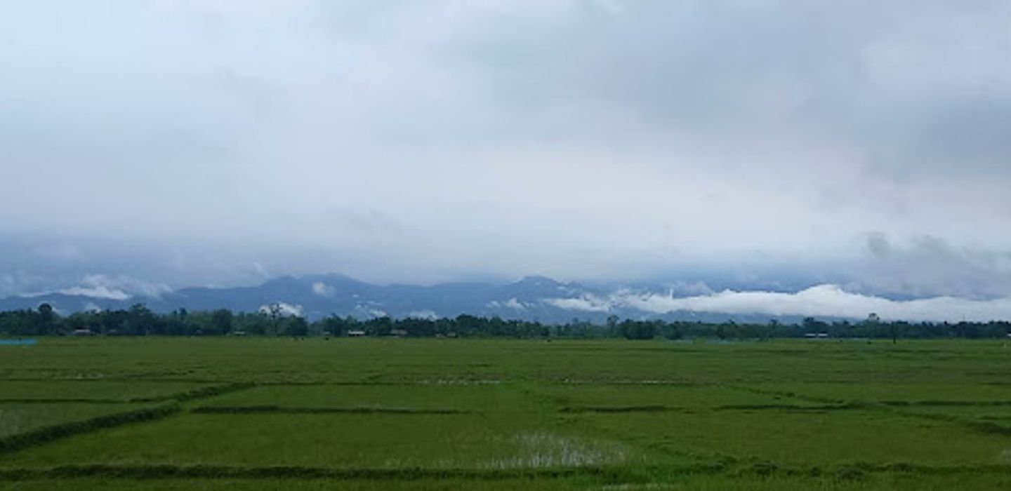 Background
