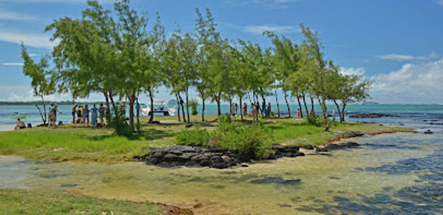L'îlot Bernache