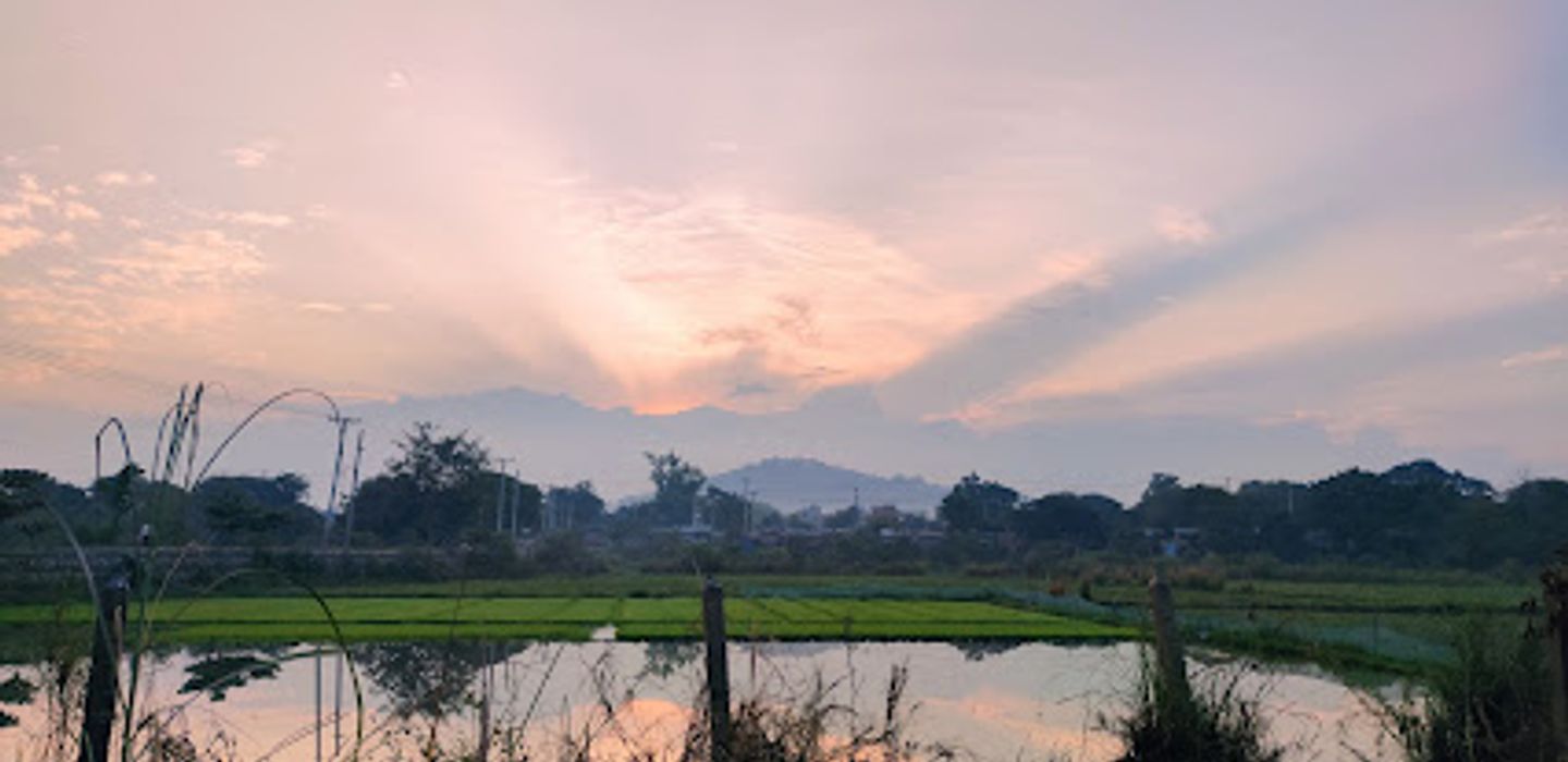 Background